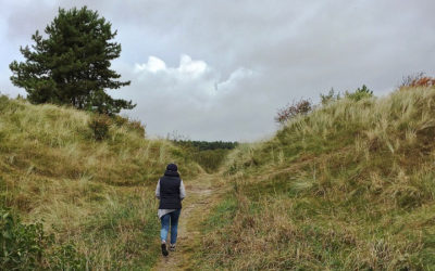Wandelen in en rondom Valkenburg aan de Geul