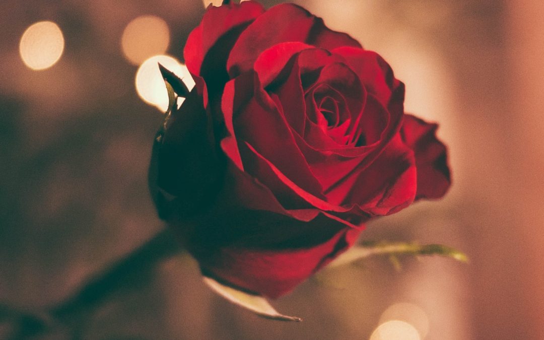 Romantic Escape to Maastricht