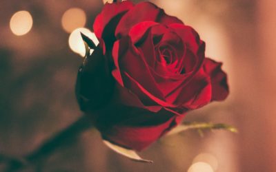 Romantic Escape to Maastricht