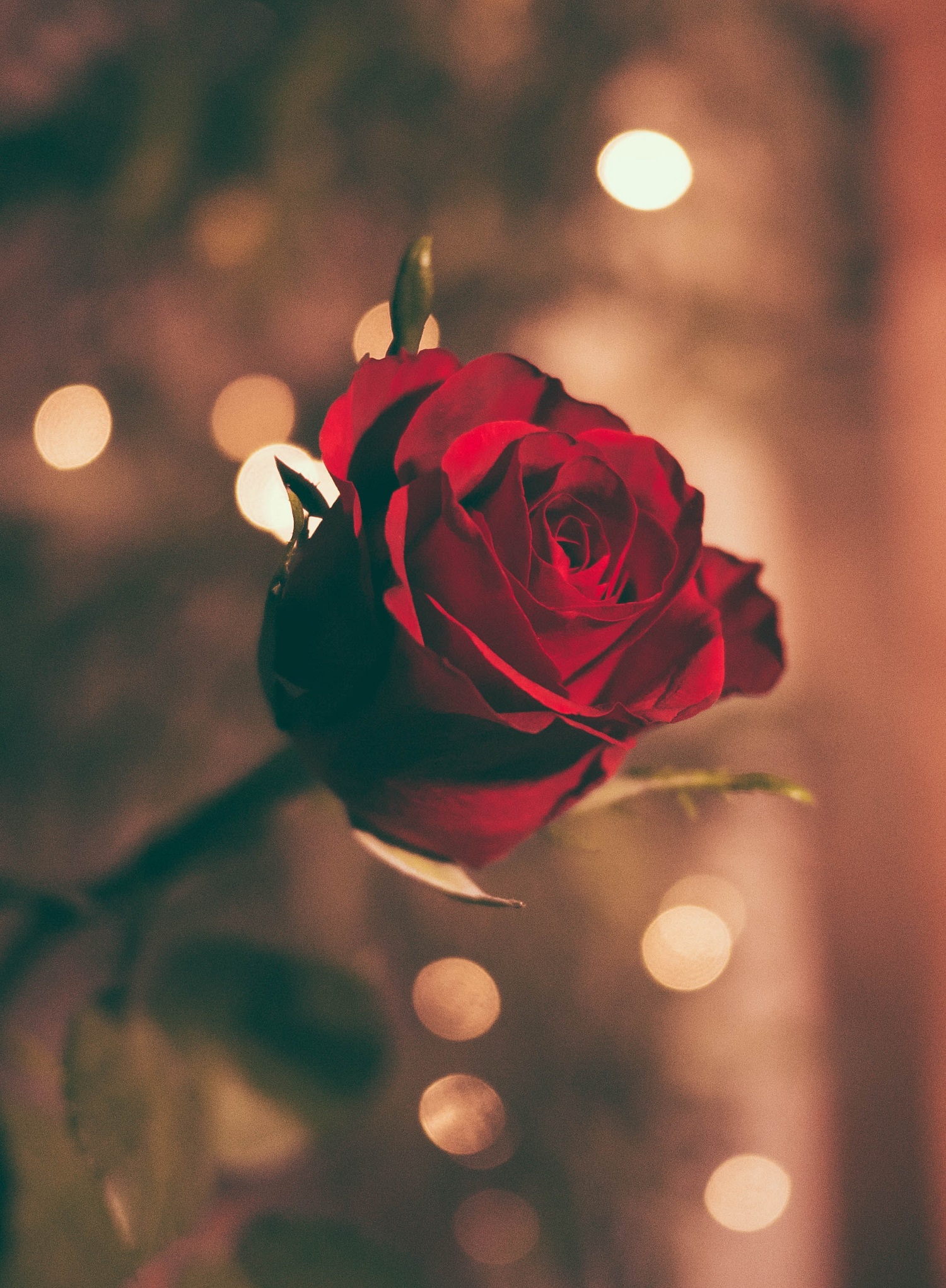 Romantic Offer - Townhouse Hotel Apartments Maastricht Romantic Offer - Townhouse Hotel Apartments Maastricht