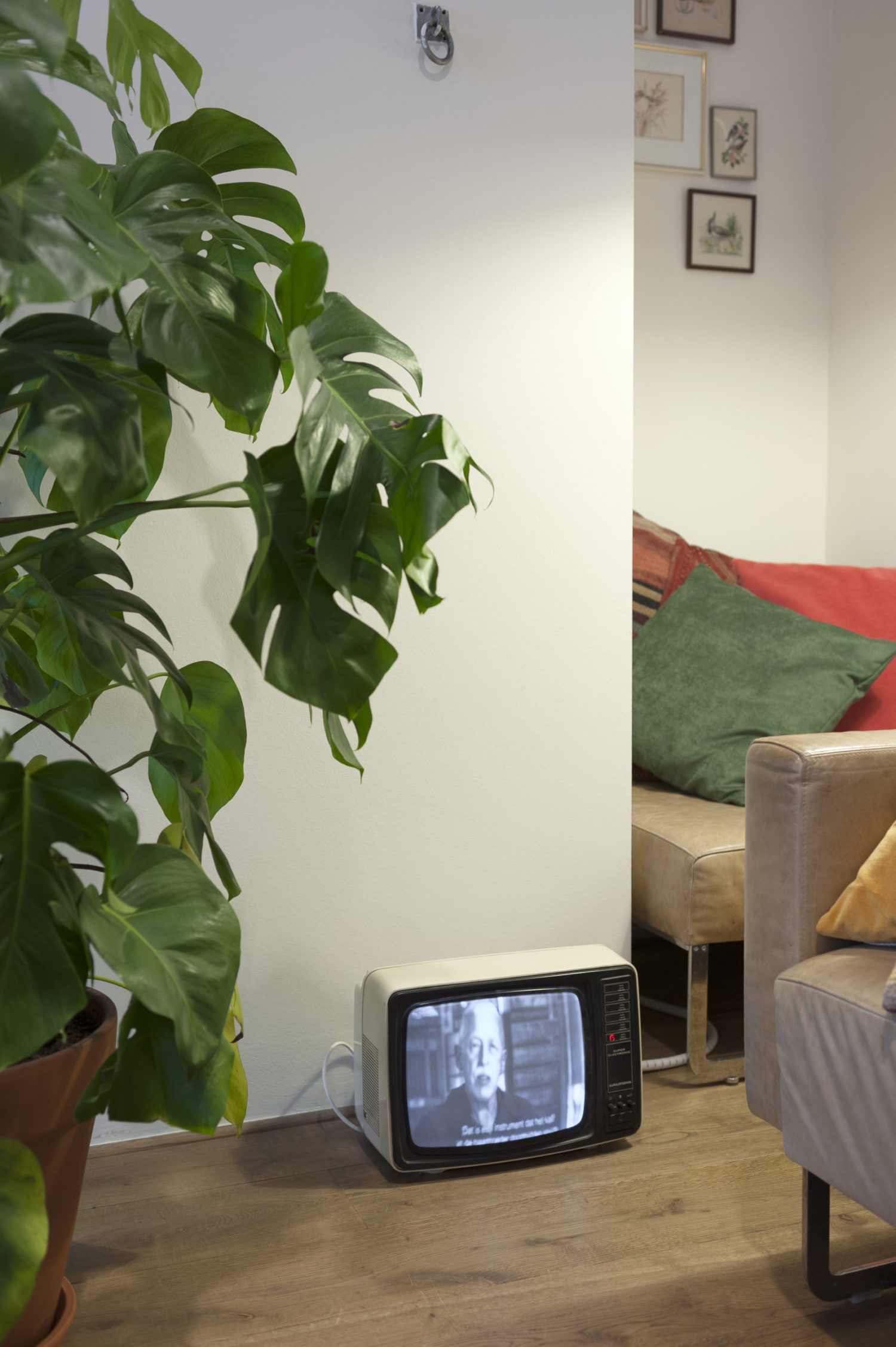 Booking Conditions - Townhouse Hotel & Apartments Maastricht